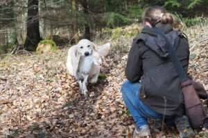 15.03.2025 – JAS/R