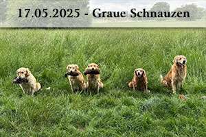 17.05.2025 Graue Schnautzen Seminar