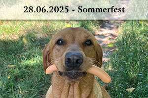Sommerfest