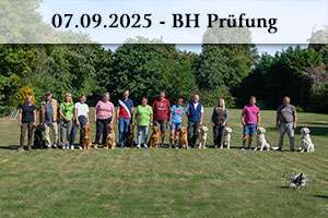 Begleithundeprüfung am 07.09.2025