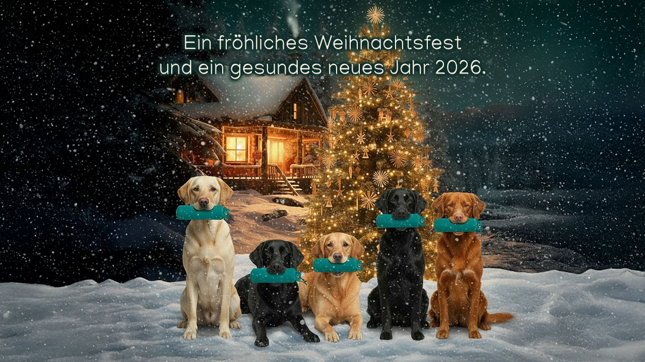 Fröhliche Weihnachten & ein glückliches und gesundes 2026