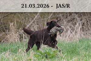 21.03.2026 – JAS/R